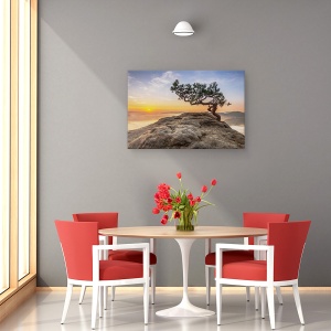 Tablou canvas - Batranul Pin, Germania, Rasarit De Soare, 80 x 120 cm - Img 4
