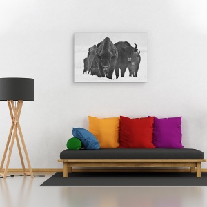 Tablou canvas - Bizonii Europeni, Alb-Negru, Animal, 40 x 60 cm - Img 2