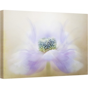Tablou canvas - Briza, Anemona, Floare, Macro, Moale, 80 x 120 cm