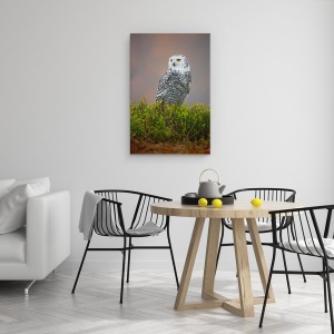 Tablou canvas - Bufnita De Zapada, Pasare, Salbatic, 40 x 60 cm - Img 4