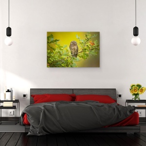 Tablou canvas - Bufnita, Ramura, Verde, Ochi, Distractie, 80 x 120 cm - Img 3