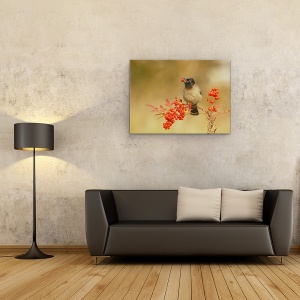 Tablou canvas - Bulbul Cu Nandina, Pasare, Cioc, Mancare, Alimente, Fructe De Padure, 50 x 70 cm - Img 2