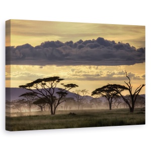 Tablou canvas - Buna seara, Tanzania!, Peisaj, Copac, Ceata, Africa, 60 x 90 cm