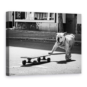 Tablou canvas - Cainii Vor Doar Sa Se Distreze, Animal, Strada, Skateboard, 60 x 80 cm