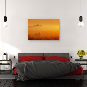 Tablou canvas - Cal, Avion De Pasageri, Aterizare, Teren, 60 x 90 cm - Img 3