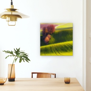 Tablou Canvas - Campuri Verzi, Moravia, Verde, Peisaj, Copaci, Agricultura, 90 x 90 cm - Img 3