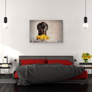 Tablou canvas - Cand Viata Iti Da Lamai, Caini, Galben, Animale, 60 x 90 cm - Img 3