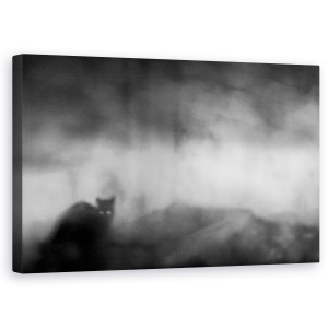 Tablou canvas - Ceata, Pisica, Ceata, Ceata, Incetosat, Misterios, 50 x 80 cm