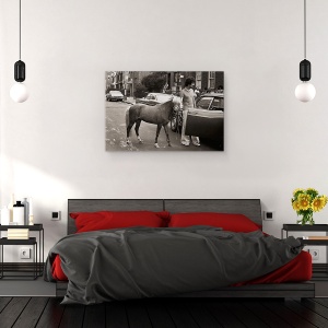 Tablou canvas - Chiar Incearca Sa Ma Integreze Acolo Din Nou, Ponei, Umor, 40 x 60 cm - Img 3