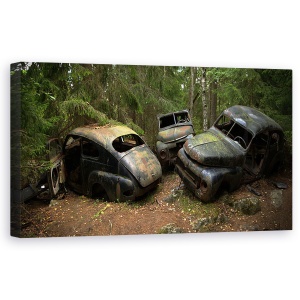 Tablou canvas - Cimitirul De Masini Din Padure, Vechi, Lemn, 50 x 100 cm