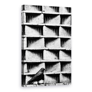 Tablou canvas - Cioara, Corb, Beton, Industrial, 60 x 90 cm
