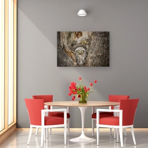 Tablou canvas - Civ Si Civ, Animal, Pasare, Salbatic, 40 x 60 cm - Img 4