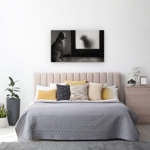 Tablou canvas - Clotilde Si Pancha, Caine, Pet, Reflectie, Alb-Negru, Oglinda, 50 x 80 cm - Img 3