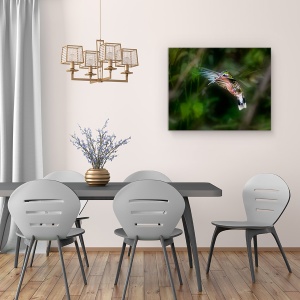 Tablou canvas - Colibri, Salbatic, Pasare, Aripi, Verde, 60 x 75 cm - Img 4