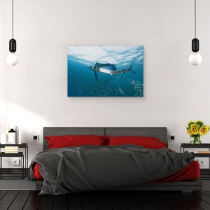 Tablou canvas - Comuniune, Sub Apa, Salbatic, Africa De Sud, Scalar, 40 x 60 cm - Img 3