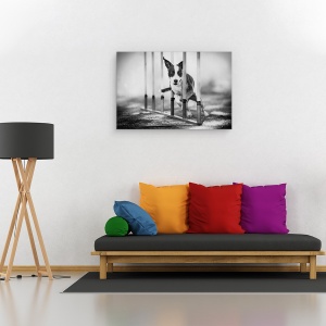 Tablou canvas - Concentrare, Agilitate, Caine, Actiune, Alb-Negru, Animal, 60 x 90 cm - Img 2