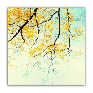 Tablou Canvas - Copac, Flori, Galben, 60 x 60 cm