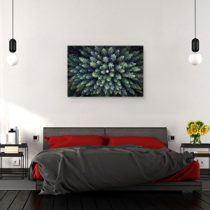 Tablou canvas - Copac Mort Inconjurat De Copaci Vii, Peisaj, Padure, 60 x 90 cm - Img 3