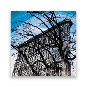 Tablou Canvas - Copac, New York, Flatiron, 60 x 60 cm