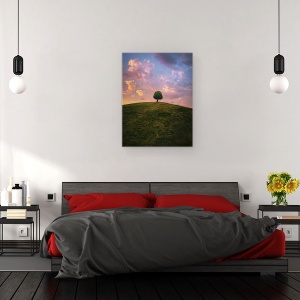 Tablou canvas - Copac Pe Deal In Timpul Apusului, Izolare, 50 x 70 cm - Img 3