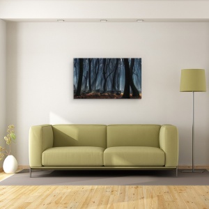 Tablou canvas - Copaci Dansand, Padure, Padure de Fag, Ceata, Lumina Soarelui, Dansand, Intunecos, 50 x 80 cm - Img 2