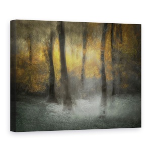 Tablou canvas - Copaci Dansand, Padure, Toamna, Peisaj, 75 x 100 cm