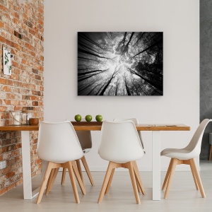 Tablou canvas - Copaci, Padure, Peisaj, Perspectiva, Cer, 75 x 100 cm - Img 4
