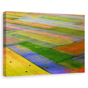 Tablou canvas - Coperta, Castelluccio, Flori, Umbria, 40 x 60 cm
