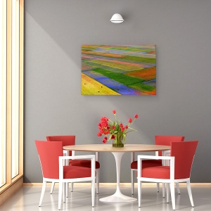 Tablou canvas - Coperta, Castelluccio, Flori, Umbria, 40 x 60 cm - Img 4