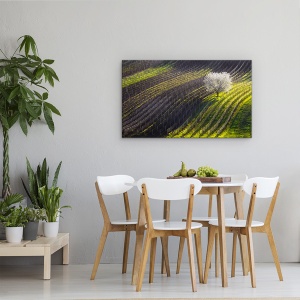 Tablou canvas - Corzi De Primavara, Copac, Linii, Vin, Struguri, 50 x 80 cm - Img 4