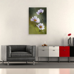 Tablou canvas - Cosmos, Natura Moarta, Cosmos, Floare, Flori, Muguri, 80 x 120 cm - Img 2