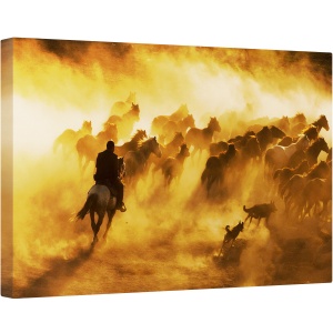 Tablou canvas - Cowboy, Animal, Cal, Actiune, Calatorie, 40 x 60 cm