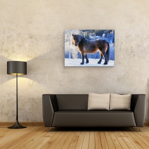 Tablou canvas - Crin Din Vale, Cal, Inghet, Rece, Gheata, Zapada, 60 x 80 cm - Img 2