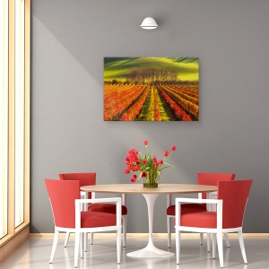 Tablou canvas - Cultivarea Vitei De Vie, Moravia, Campuri, Podgorie, Rural, 40 x 60 cm - Img 4