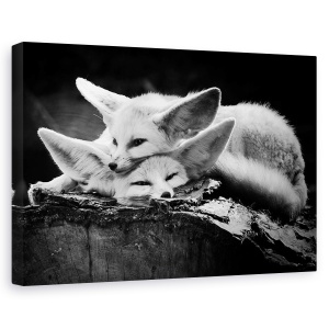 Tablou canvas - Cuplul fericit, Animal, Odihna, imbratisare, Bucurie, 60 x 90 cm