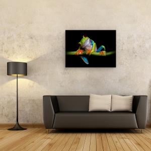 Tablou Canvas - Curiozitate, Broasca, Vanator, Portret, Natura, 75 x 100 cm - Img 2