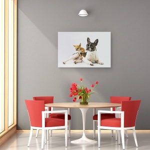 Tablou canvas - Dali & Alfredo, Caine, Animale, Pet, 80 x 120 cm - Img 4