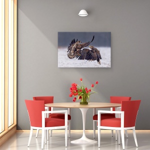 Tablou canvas - Dansand In Zapada, Salbatic, Pasare, 80 x 120 cm - Img 4