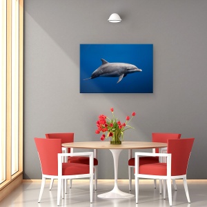 Tablou canvas - Delfin, Sub Apa, Insula Reunion, Franta, Salbatic, 60 x 90 cm - Img 4