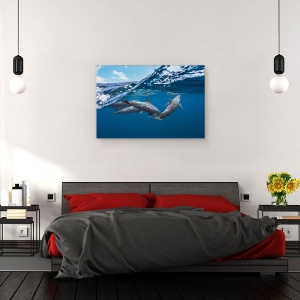 Tablou canvas - Delfinii, Delfin, Delfini, Ocean, Mare, Sub Apa, 60 x 90 cm - Img 3