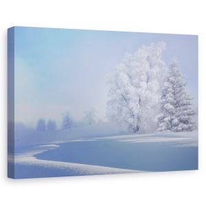 Tablou canvas - Dimineata Crocanta, Zapada, Copac, Iarna, Ceata, Inghet, 60 x 90 cm