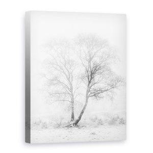 Tablou canvas - Dimineata Devreme, Peisaj, Copac, Punct, Iarna, 60 x 80 cm