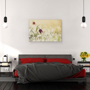 Tablou canvas - Dimineata, Olanda, Floare, Roua, Dimineata, Macro, 60 x 90 cm - Img 3