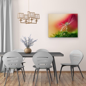 Tablou Canvas - Dimineata Rosie, Seminte, Picatura, Bland, Delicat, 60 x 75 cm - Img 4