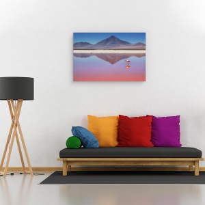 Tablou canvas - Dimineata Roz, Natura, Animal, Pasare, Flamingo, Salbatic, 40 x 60 cm - Img 2