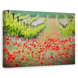 Tablou canvas - Districtul Rosu, Peisaj, Floare, Camp, Vara, Podgorie, 40 x 60 cm