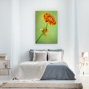 Tablou Canvas - Doar Agatat In Jurul Valorii De, Tigru, Broasca, Gerbera, Floare, Portocaliu, 80 x 120 cm - Img 3