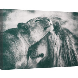 Tablou canvas - Dragoste, Felina, Fauna, Salbatic, Natura, Animal, 60 x 90 cm