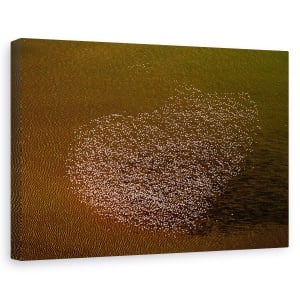 Tablou canvas - Dragostea De Flamingo, Aeriana, Africa, Kenya, Magadi, 80 x 120 cm