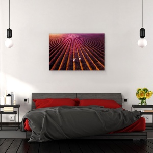Tablou canvas - Drumul Nostru Spre… Noi, Levantica, Camp, Rural, 40 x 60 cm - Img 3